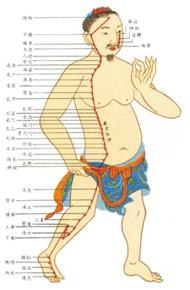 méridiens acupuncture