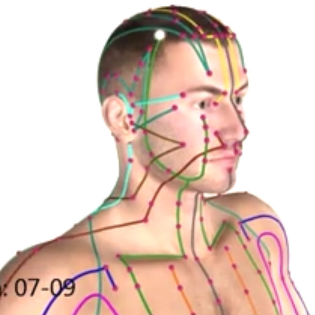 Les trajets de méridiens en vidéo.